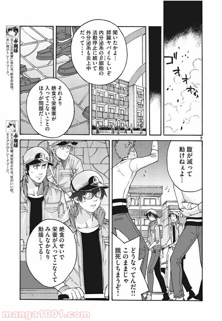 はたらく細胞BLACK 第29話 - Page 9