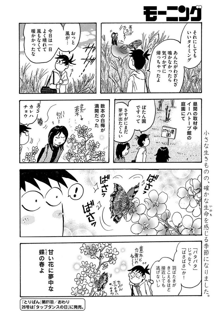 とりぱん 第871話 - Page 4