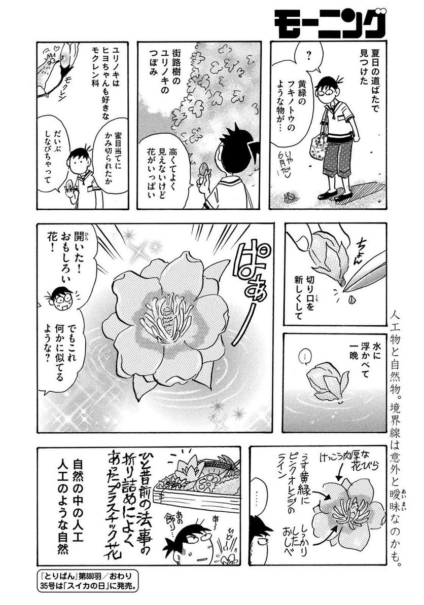 とりぱん 第880話 - Page 4