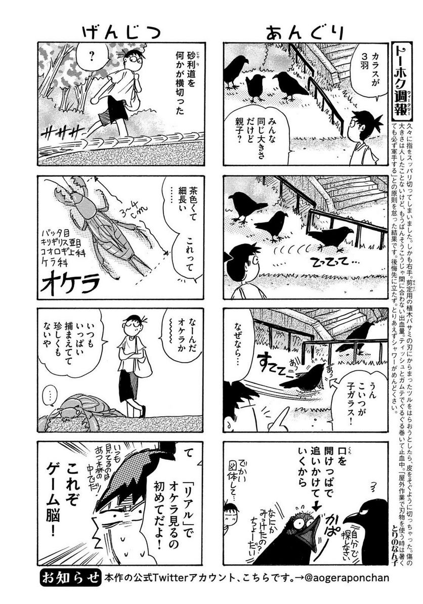 とりぱん 第882話 - Page 2