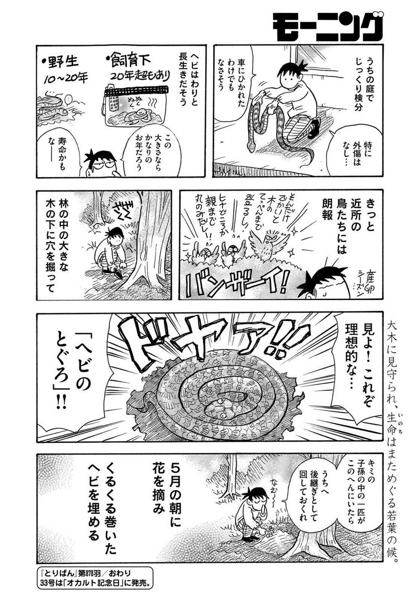 とりぱん 第878話 - Page 4