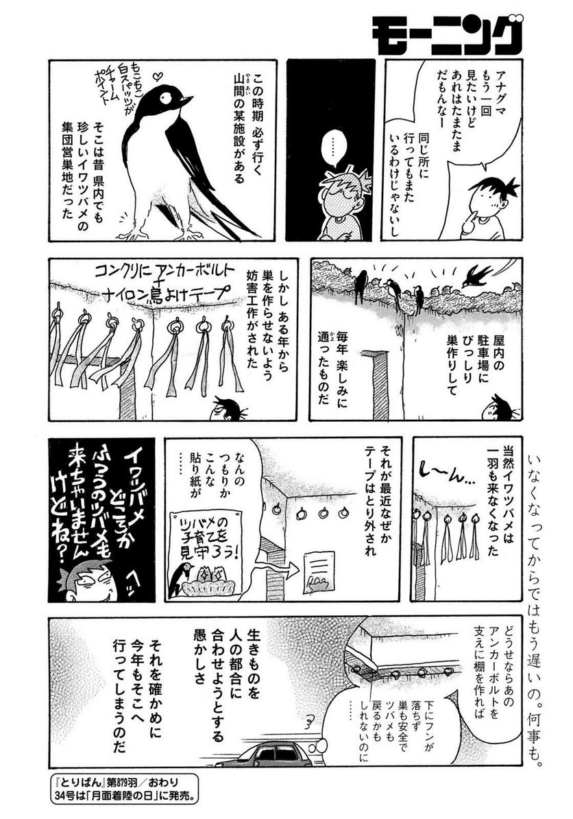 とりぱん 第879話 - Page 4