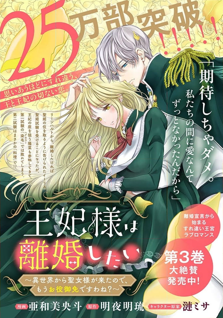 王妃様は離婚したい 王妃様は離婚したい～異世界から聖女様が来たので、もうお役御免ですわね？～ 第15.3話 - Page 12