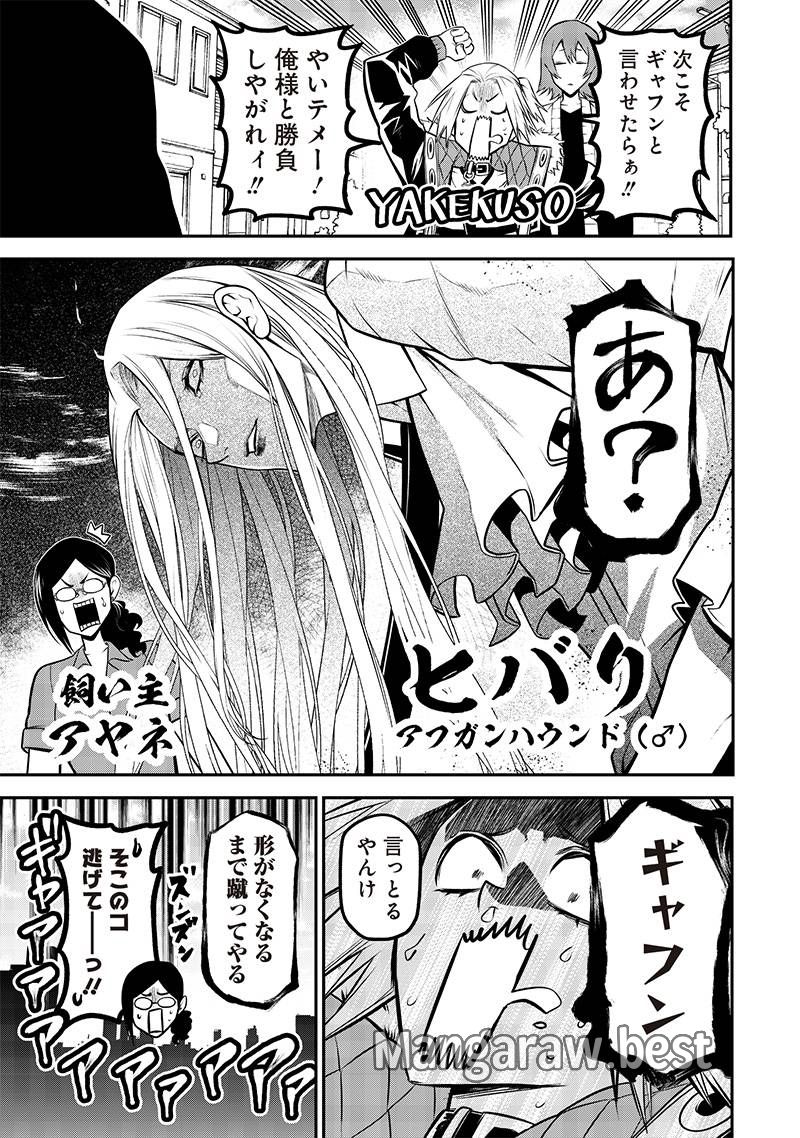 ポン太がヒトになりまして。犬がヒトになる話 - 第37話 - Page 7