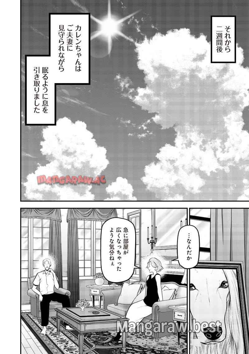 ポン太がヒトになりまして。犬がヒトになる話 - 第34話 - Page 12