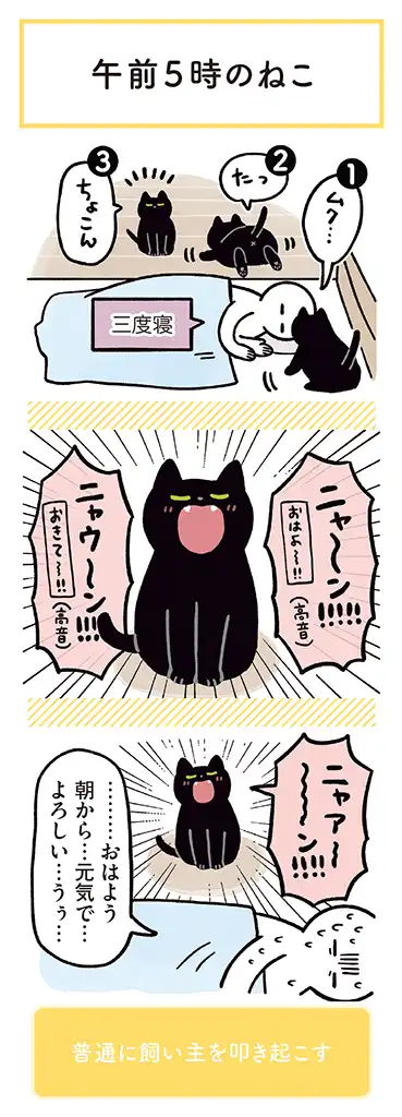 黒猫ろんと暮らしたら 第21話 - Page 3