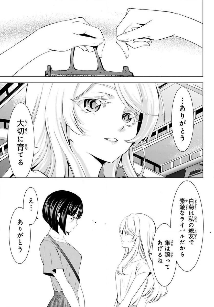 女神のカフェテラス - 第146話 - Page 14