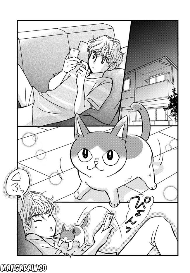 彼とねこが待っている。 第3.4話 - Page 1