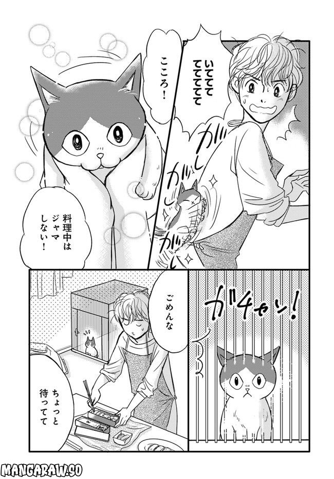 彼とねこが待っている。 第1.1話 - Page 5